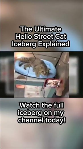 Mr. Kilt - Ultimate Hello Street Cat Iceberg Explained