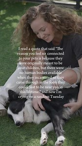 Brb bawling. 😭 | Crown & Paw