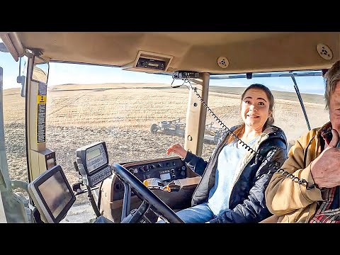 Having a Harrowing Time!!