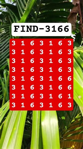 Find the Odd One | Visual Logic Challenge | Ep.1436 #brainteaser