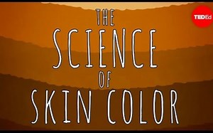 【Ted-ED】皮肤颜色的科学 The Science Of Skin Color