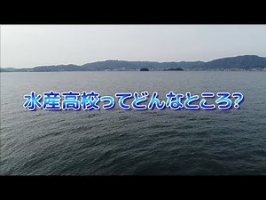 水産高校ってどんなところ？