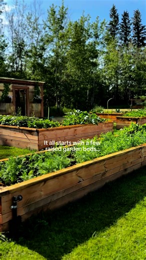 Blueprints Born in Our Backyard — DIY Projects with Crystal-Clear Steps. It all starts with a raised garden bed. One simple project that can change the way you live your entire life. 🍅 Imagine it: a few raised beds turn into baskets of ripe tomatoes, jars of homemade pickles, and family dinners filled with food you grew yourself. Even if you’ve never gardened before, raised beds make it simple. With the Raised Bed Building Plans you’ll get: ✔️ Step-by-step instructions material list — beginner-