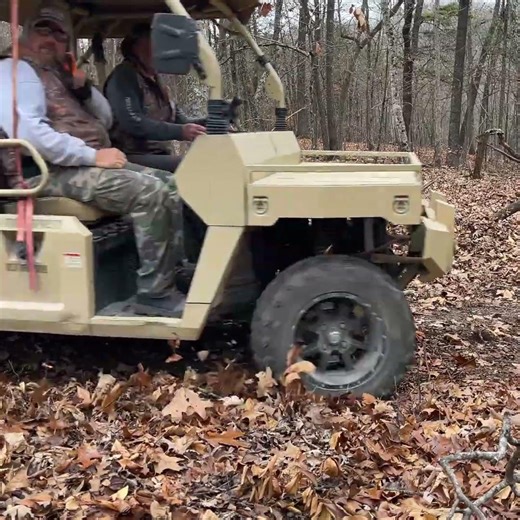 Woodland Mills Multilander