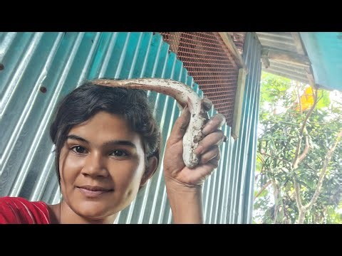 Live Fish Cutting: See the Fastest Techniques!#fishcutting, #fishrecipe, #seafood, #cooking