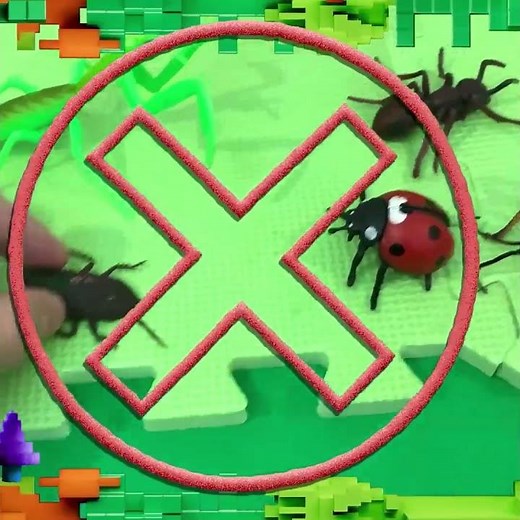 Find the Ladybug! 🐞 A Fun Game for Kids