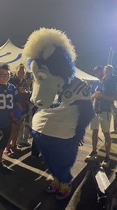 66K views · 11K reactions | dance battle…? | Blue Indianapolis Colts Mascot | Facebook