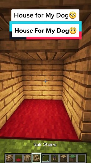 Building a Dog House in Minecraft