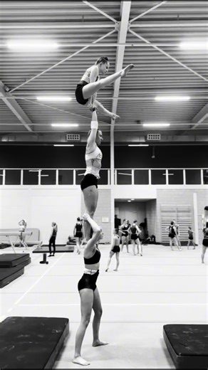 Exploring the Art of Acrobatics