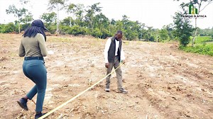 26K views · 789 reactions | HOW WE BUILT THE BIGGEST GOAT FARM IN GHANA FROM START TO FINISH | Farming In Africa | Facebook