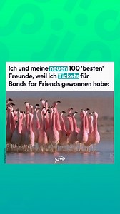 Hast du Lust, bei unserem Bands for Friends Konzert mit JORIS dabei zu sein? Am 21. Februar 2025 gibt's mit uns und @jorismusik ein exklusives Konzert in der St. Barbara Kirche, dem Kulturzentrum von Lichtentanne.🎶 Das Beste: Du kannst nicht nur Karten für dich gewinnen, sondern für bis zu 10 deiner Freunde. Geht einfach auf mdrjump.de und melde dich an! #konzert #joris #musik #BandsforFriends #lichtentanne #kulturzentrum #DasLebenistschön | MDR JUMP