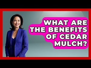 What Are The Benefits Of Cedar Mulch? - Insects and Invaders