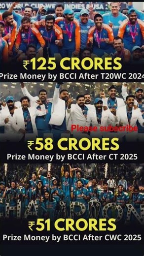 Prize money by bcci after cwc 2025