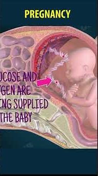 Sexual #reproduction in human beings |Pregnancy | human reproduction