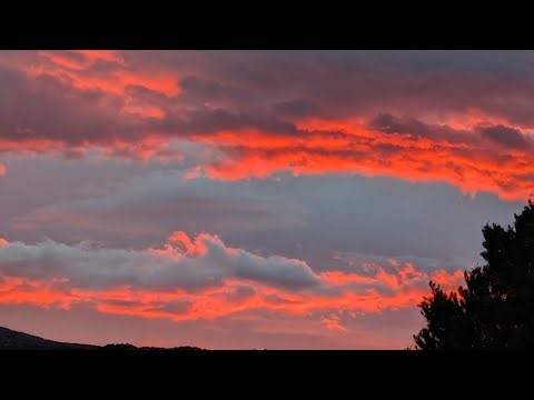 ⚡ Lightning Goats ⚡ Live Goat Feeder