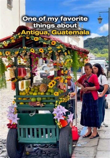 Exploring Unique Citrus Varieties in Guatemala