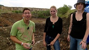 GRIPS Englisch: Simple past - Frage und Verneinung