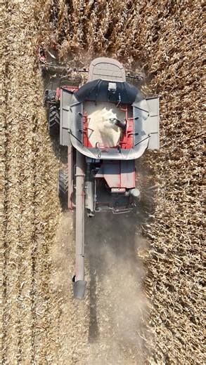 We made a lot of progress with harvest last week! Here's the white corn harvest from above! IL Corn CASE IH | Central Illinois Ag