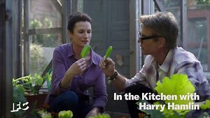 Season 2 | show | 2025| S2 | Official Trailer