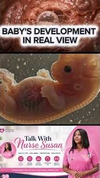 Watch a Baby Grow in the Womb! From 1 Cell to a Newborn 👶