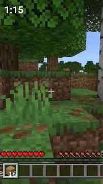 Building a duck Speedrun. #minecraft