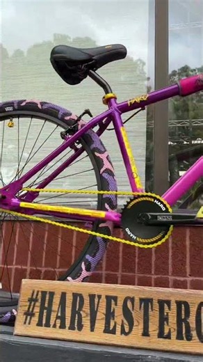 HAVE YOU EVER SEEN THIS RARE 29" HARO SLORIDE CRUISER BMX