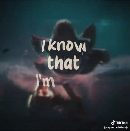 Shadow the Hedgehog: Maria and Sonic's Adventure