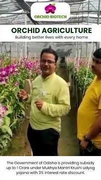 Orchid Farming: Where Elegance Meets Smart Agriculture | Orchid Biotech