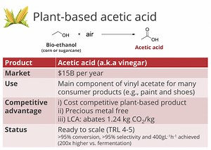 How does capturing CO2 using light work? Expert explains