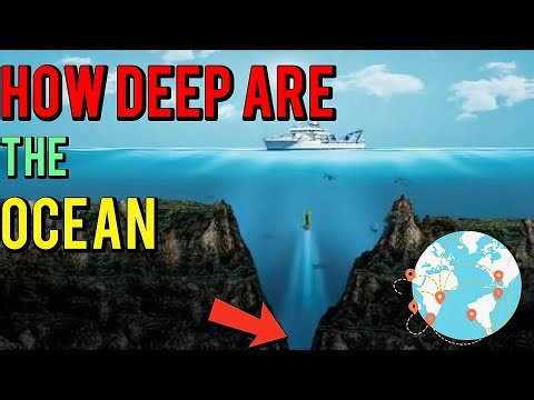 How Many Oceans Are There in The World | Which One is The Deepest | Ocean information
