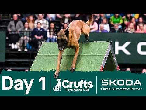 Day 1 LIVE 🔴 | Crufts 2026