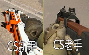 CS新手和老手如何使用P90？