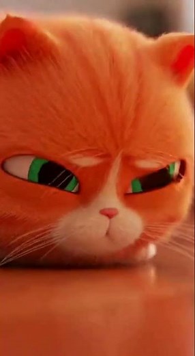 Orange Cat vs. Robot Vacuum: The Ultimate Ride!