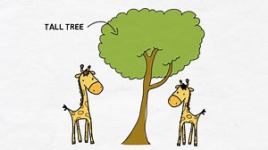 【IB-bio option A6】Ethology