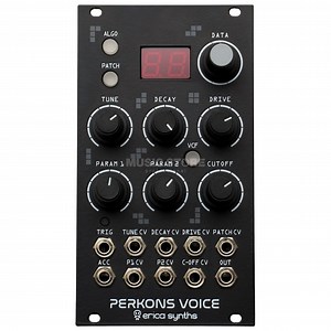 Erica Synths Perkons Voice favorable buying at our shop | Italia