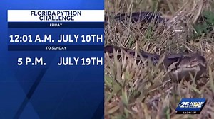 Florida's annual python challenge set to begin in July