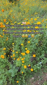 🫂🥹siempre te recordamos 🫂 | La Soledad Xochistlahuaca Gro