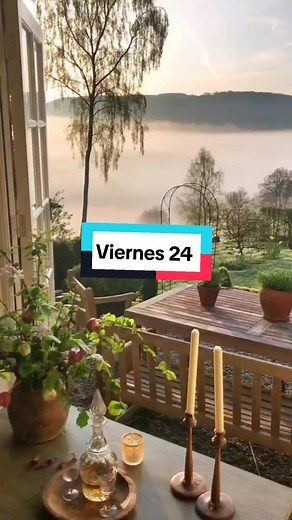 Wilson Choc on TikTok