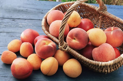 What's The Difference Between A Peach And An Apricot?