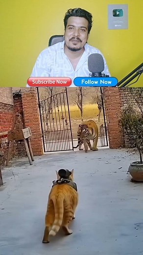 639K views · 16K reactions | Funny Video ! funny Moments ! Funny Shorts ! funny Shorts Videos #shortvideo #comedy #funnyshortsreels | Munix Reacts | Facebook