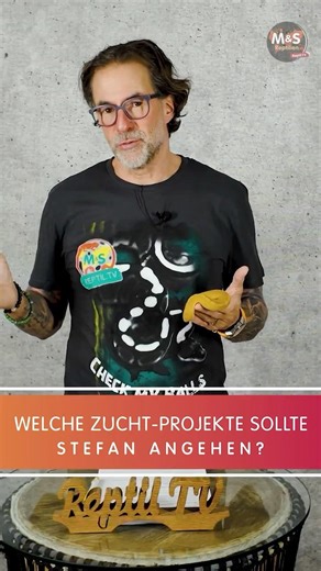 Diese Sunset Kombinationen könnten brutal werden!