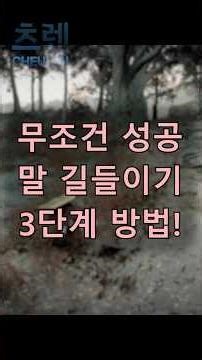 말 길들이기 무조건 성공 방법 #붉은사막 #shorts 26.04.01