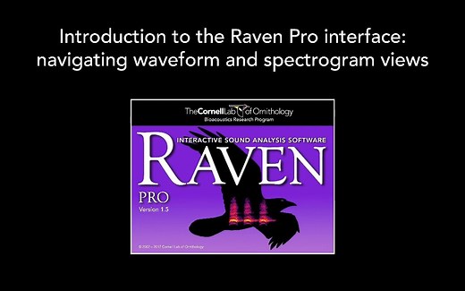声学分析软件Raven Pro入门-Part 1_ Raven intro (English)