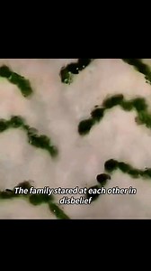 1.4M views · 10K reactions | #braxreview #animation #facebookviral | Brax Review | Facebook