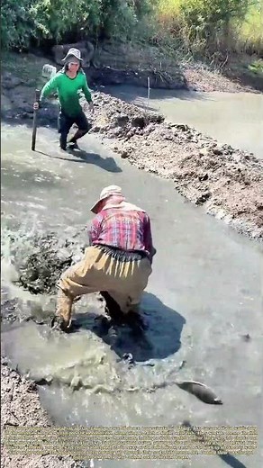 The Pond's Escapist: How a Single Fish Evades Two Fishers