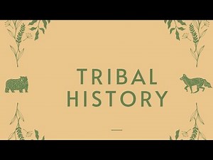 The Gond Tribe: History, Clans, and Resistance