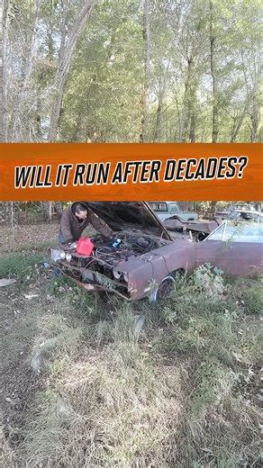 244K views · 3.3K reactions | Resurrecting a Crushed '69 Dodge Charger: Can It Run After Decades? #dodge #charger #cars | Dylan McCool | Facebook