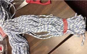 Sampling Oral and Processing Fluids to Identify Disease in Pigs