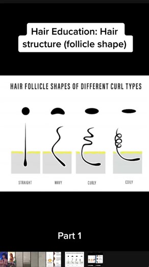 Understanding Hair Follicle Shapes and Hair Types Explained