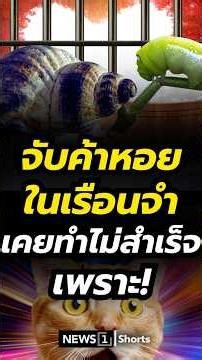 Catching shellfish traders in prison has never been successful because! 21/11/68 #SpecialPrison #...